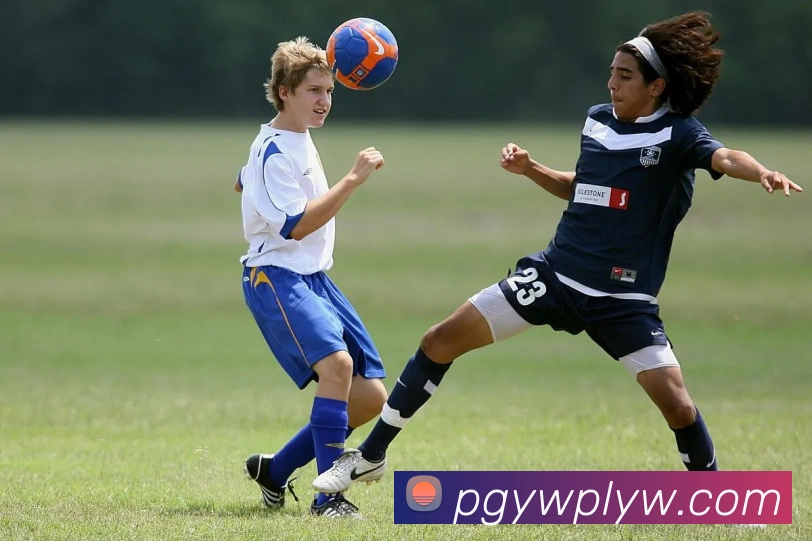 pg电子平台生态图